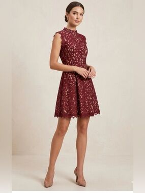 Francesca's Collections Alya Burgundy Lace Fit-and-Flare Mini Dress
